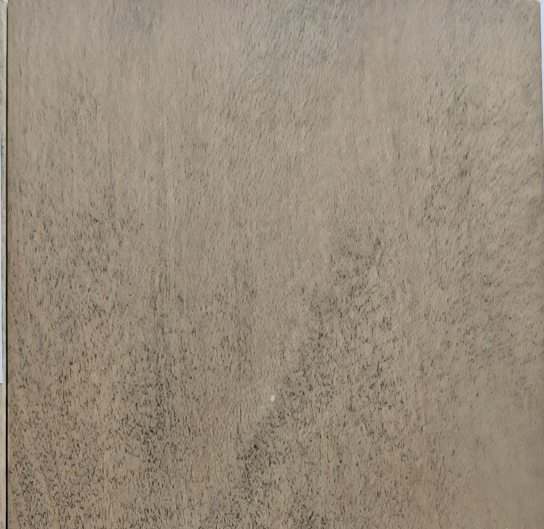 Quarter sawn maple veneer
